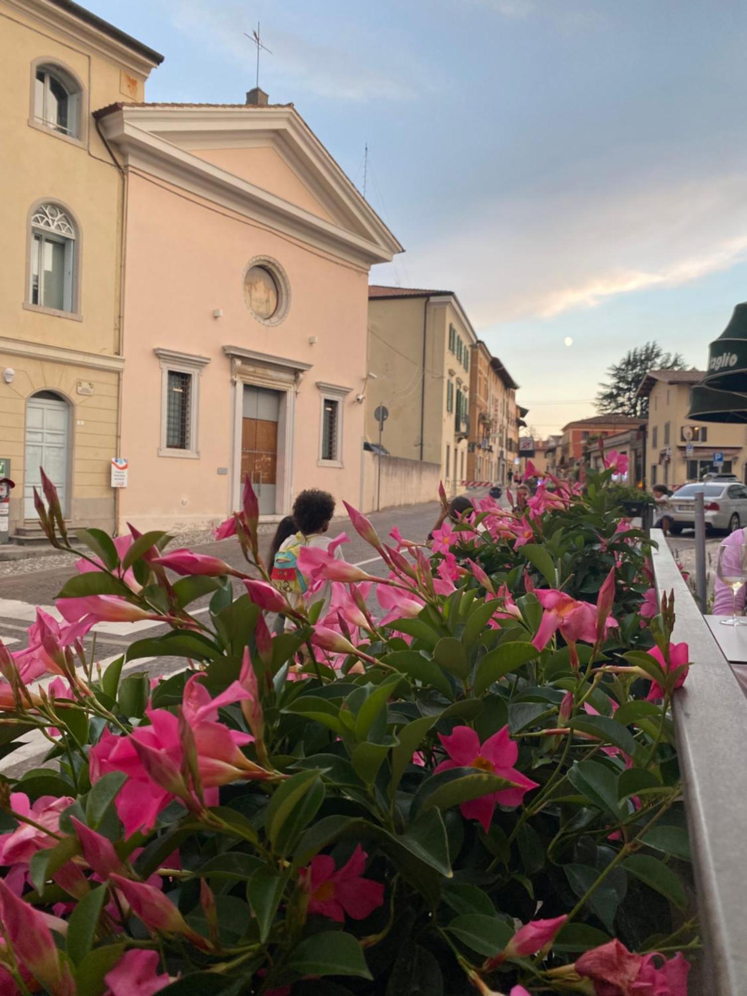 Hotel Il Riccio E Il Gufo Cepletischis Esterno foto